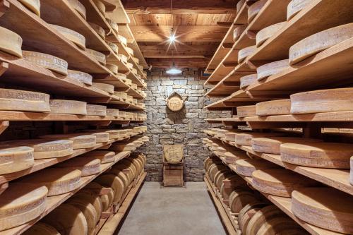 Forme di formaggio Bitto Storico Ribelle nella cantina di stagionatura in sasso e in legno 