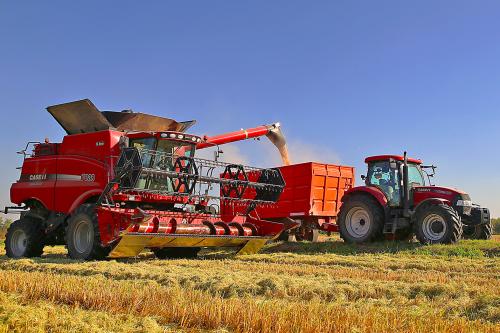 Mietitrebbia al lavoro nelle risaie della Lomellina in Lombardia