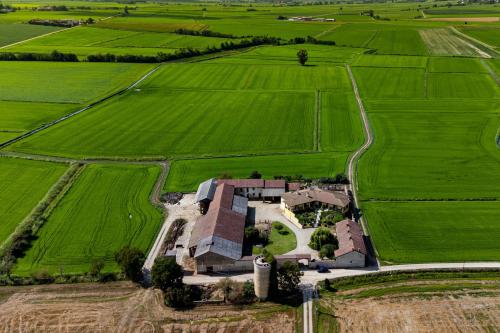 Azienda agricola della Lomellina circondata da risaie in estate