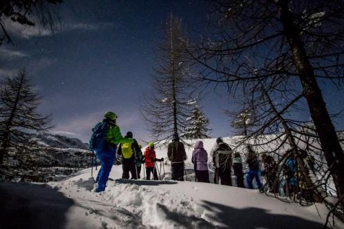 Ciaspolata al chiaro di luna in Valmalenco in Valtellina