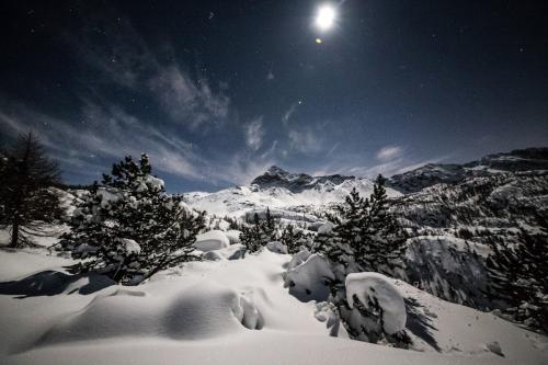 Paesaggio innevato dell'Alta Valmalenco