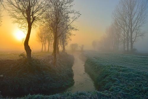 Paesaggio naturale il sole all'alba tra la nebbia