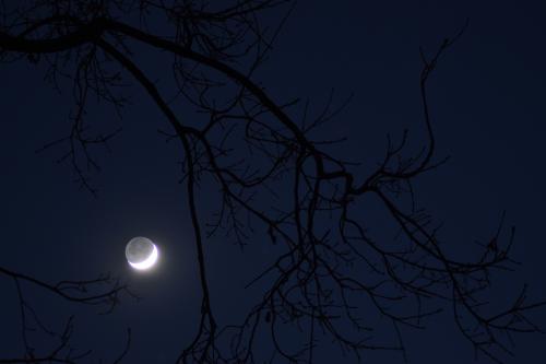 Eclissi di luna ammirata dalla Lombardia