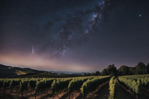 Un vigneto di notte tra stelle cadenti e vini biologici nell'Oltrepo Pavese in Lombardia