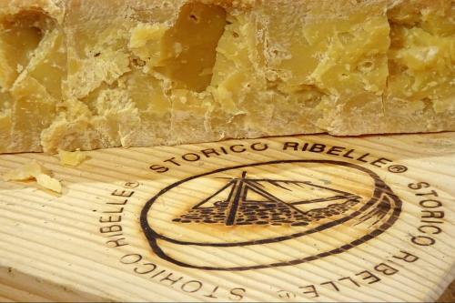 Forma di formaggio Bitto Storico Ribelle