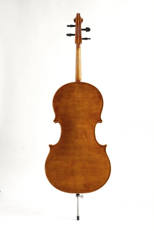 Retro di un violino verniciato con resine naturali