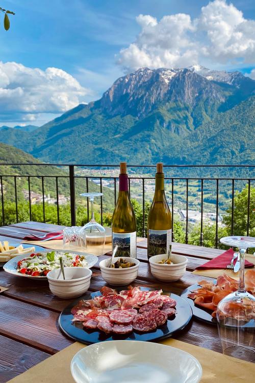 Pranzo o cena con vista mozzafiato a base di prodotti tipici locali dopo aver partecipato alla visita guidata della vigna di una azienda agricola in Valsassina in Lombardia